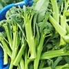 生态西蓝苔（福建） | 合作生产*  Eco-broccolini| Partner Production 商品缩略图2