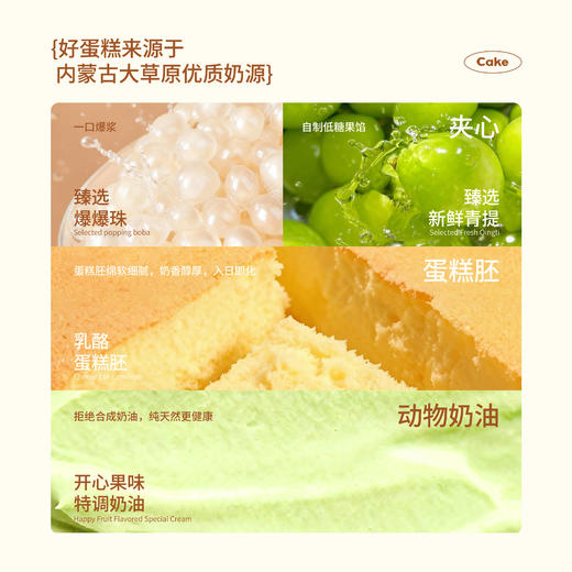 【同城配送】海鹏-阳光青提动物奶油蛋糕 商品图2