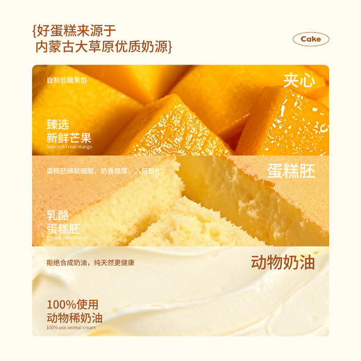 【同城配送】海鹏-吾家有喜动物奶油蛋糕 商品图1