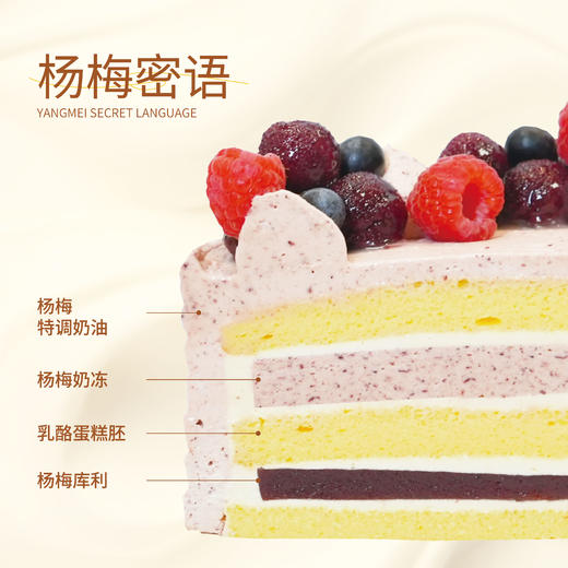 【同城配送】海鹏-杨梅密语动物奶油蛋糕 商品图2