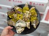 乳山生蚝2.5斤装 9~11个 商品缩略图0