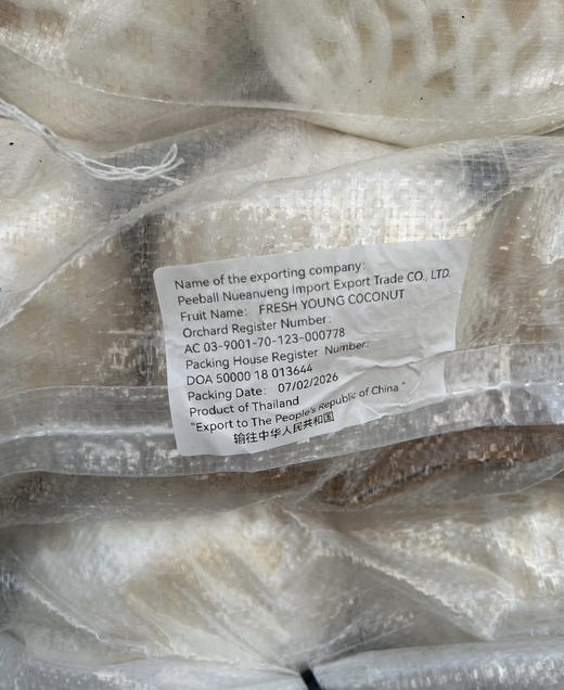 泰国佳垚青椰 椰子 商品图4