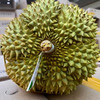【泰国A级甲仑榴莲】口感醇厚/香气独特/口感细腻/生劈和无面单不售后 榴莲发的是7-8成熟，收到后需要先判断是否成熟，未熟需催熟 商品缩略图1