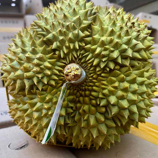 【泰国A级甲仑榴莲】口感醇厚/香气独特/口感细腻/生劈和无面单不售后 榴莲发的是7-8成熟，收到后需要先判断是否成熟，未熟需催熟 商品图1
