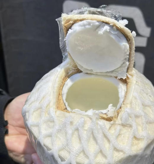 泰国佳垚青椰 椰子 商品图0