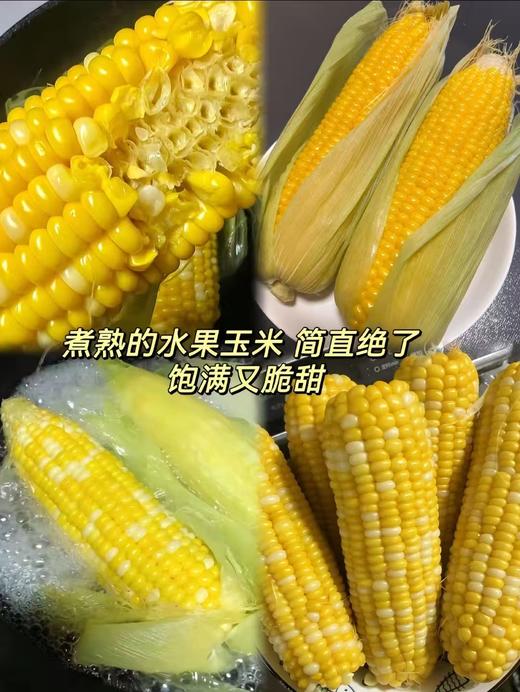 【社群团购】太阳甜玉米【4根装】【BJ】 商品图1