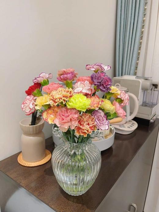 混色康乃馨 商品图0