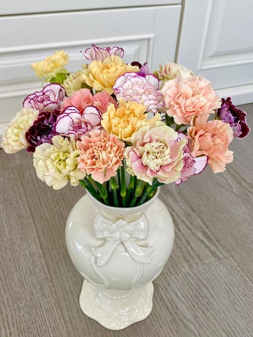 混色康乃馨 商品图7