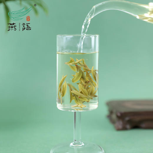 燕语西湖龙井绿茶礼盒150g（2026年） 商品图3