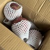 生态洋葱（云南） | 合作生产*Ecological onion| Partner Production 商品缩略图3