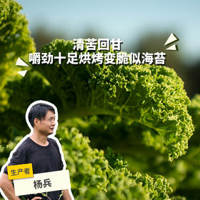 生态羽衣甘蓝（包邮） | 绿家自产*ecological curly kale | Self-production