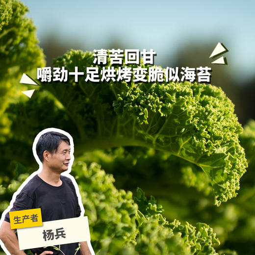 生态羽衣甘蓝（包邮） | 绿家自产*ecological curly kale | Self-production 商品图0