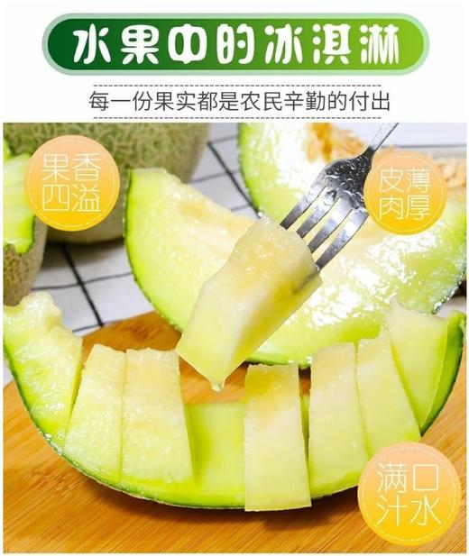 网纹冰淇淋蜜瓜~净重3.2-3.6斤/个【BH】【OZR】 商品图0