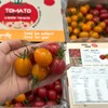 刘婆婆小甜甜「双拼小番茄」整件 约1kg 商品缩略图3