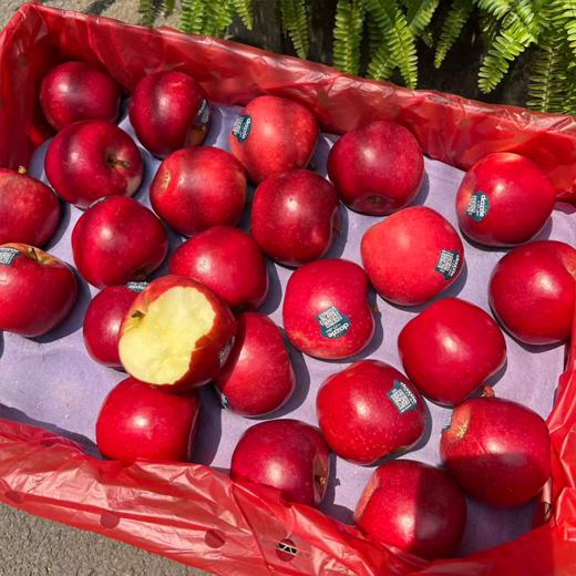 新西兰丹烁苹果 商品图2