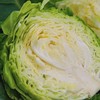 【时令蔬菜】包心菜 1500g 润肠通便减脂不胀气 商品缩略图2