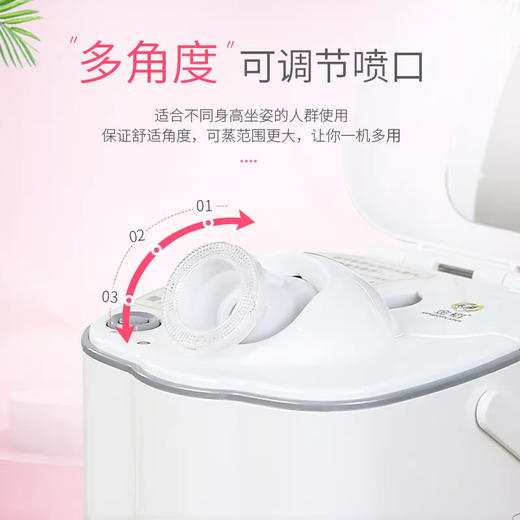 金稻 KD332V蒸脸器 热喷雾纳米离子补水仪 家用脸部美容仪 商品图3