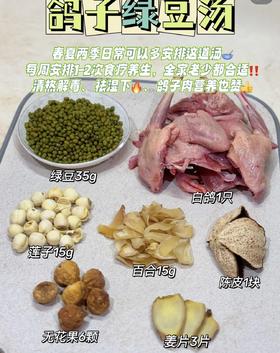 502鸽子绿豆汤（白鸽1只 绿豆50克 莲子百合各15克 无花果6颗 陈皮姜片少许）