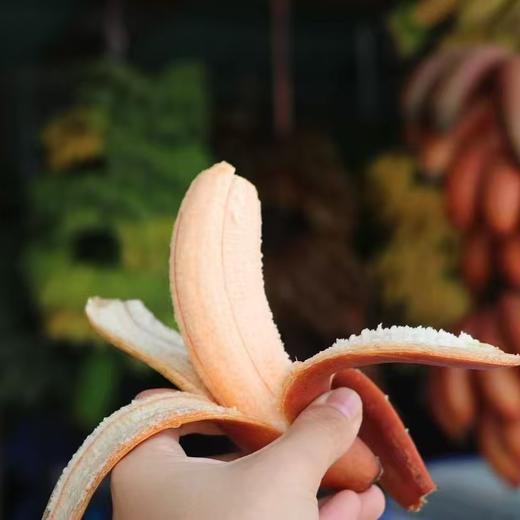 高山「红美人蕉」整件 约1kg 8~9根 商品图8