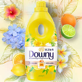 当妮柔顺剂香水款柑橘香1L다우니 유연제 시트러스&바베나