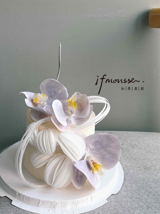 「女士」4寸糯米纸蝴蝶兰 商品图0