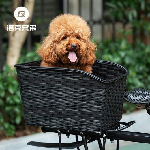 洛克兄弟山地自行车车筐后车篮后货架宠物置物框后鞍座车篓菜篮子 商品图1