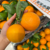 夏橙 甜蜜爆汁 新鲜橙子 商品缩略图2