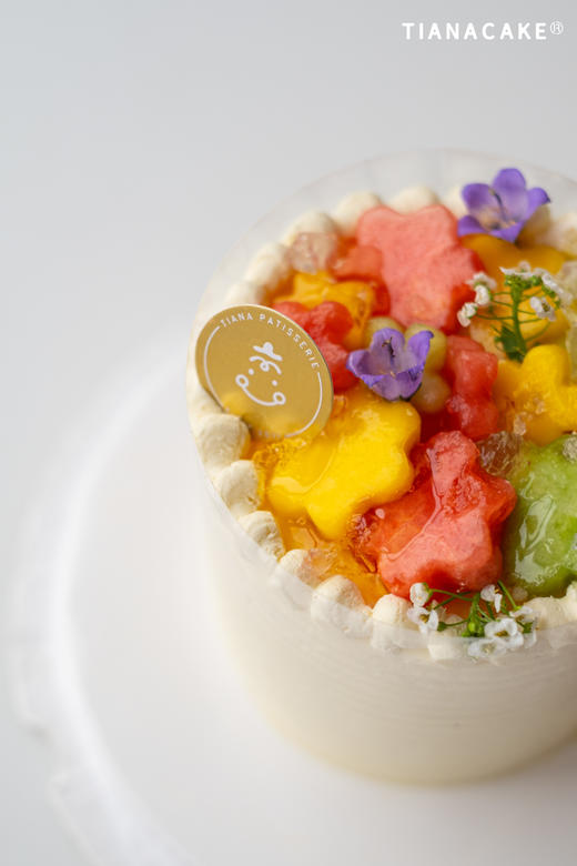 四寸玉露森林 商品图3