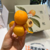 完熟枇杷 纯甜 果肉多 礼盒装 商品缩略图0