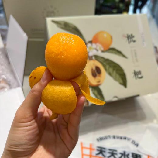 完熟枇杷 纯甜 果肉多 礼盒装 商品图0