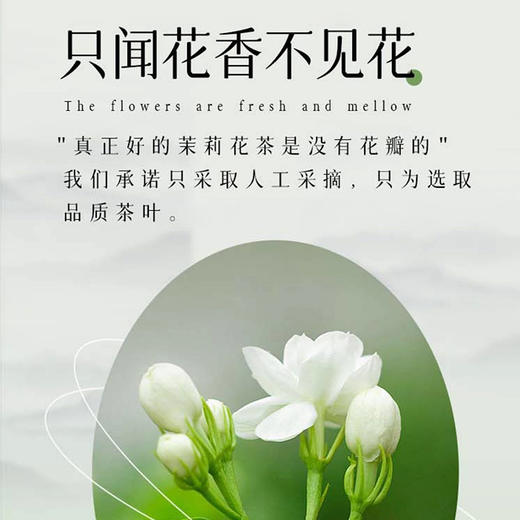 茉莉花茶（悦品系列） 50g/罐 商品图1