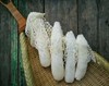 【仿野生种植】生态长裙干竹荪50g，无硫熏制，无防腐剂 商品缩略图0