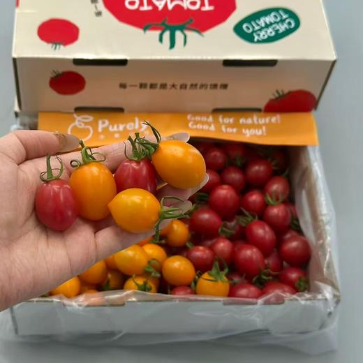 刘婆婆小甜甜「双拼小番茄」整件 约1kg 商品图1