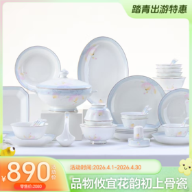 品物攸宜花韵初上12人用54头骨质瓷餐具