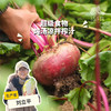 生态甜菜根 |绿家自产*Ecological Beetroot | In-House Production 商品缩略图0