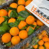 夏橙 甜蜜爆汁 新鲜橙子 商品缩略图1