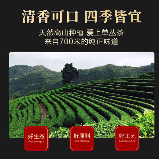 大粤单丛乌龙茶（单丛B） 500g/包 商品图1