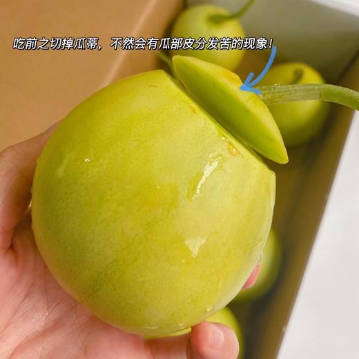 马连庄甜瓜 商品图4