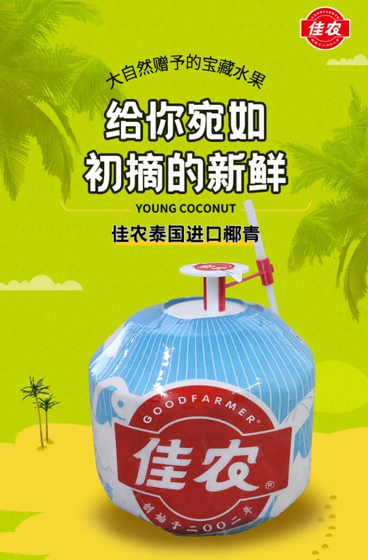 佳农 泰国进口椰青椰子水（开口椰）/个【BH】【OZR】 商品图0