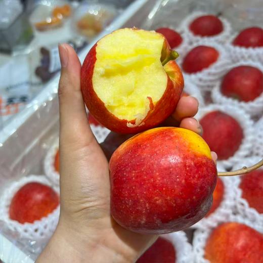 新疆爱妃小苹果 散称 商品图0