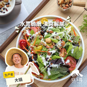 生态沙拉蔬菜箱（非净菜） | 绿家自产* Ecological  salad vegetable box | Self-production