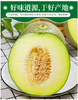 网纹冰淇淋蜜瓜~净重3.2-3.6斤/个【BH】【OZR】 商品缩略图2