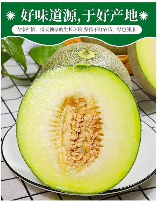 网纹冰淇淋蜜瓜~净重3.2-3.6斤/个【BH】【OZR】 商品图2