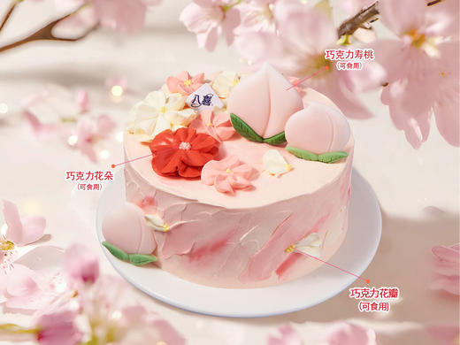 【齐梅祝寿】冰淇淋/水果生日蛋糕 商品图1