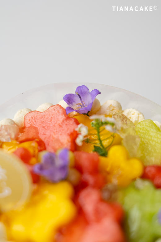 四寸玉露森林 商品图4