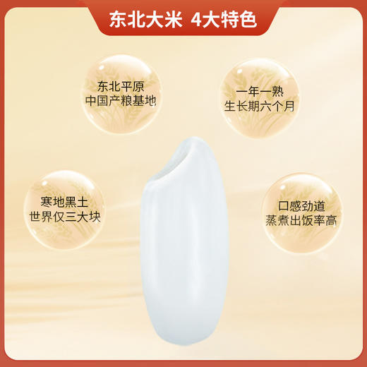 邻家饭香 凤凰来仪款东北大米 5kg/袋 真空双层包装 YF119(QF) 商品图3