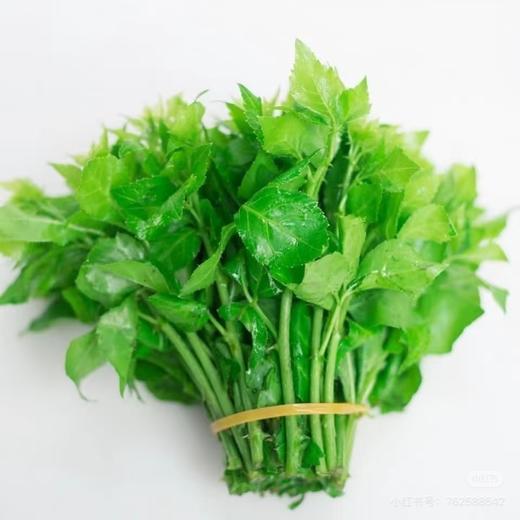 301勒菜300克 商品图0