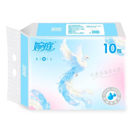 婉庭云霓系列抽纸420张10包装WRY5420M10包/提 商品图0
