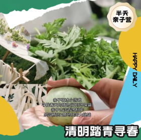 古法手作青团+植物拓印环保袋悠闲露营！（MNBB）