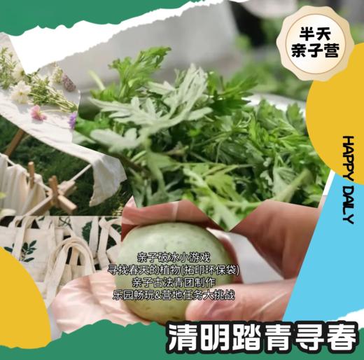 古法手作青团+植物拓印环保袋悠闲露营！（MNBB） 商品图0